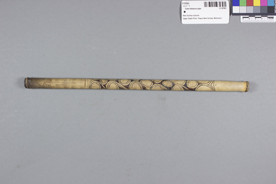 Hearst Museum object 2 of 2 titled Cane tobacco pipe, accession number 11-37551, described as Tobacco pipe, cane, with incised designs filled with black pigment, 34.9 cm long. Used for smoking.