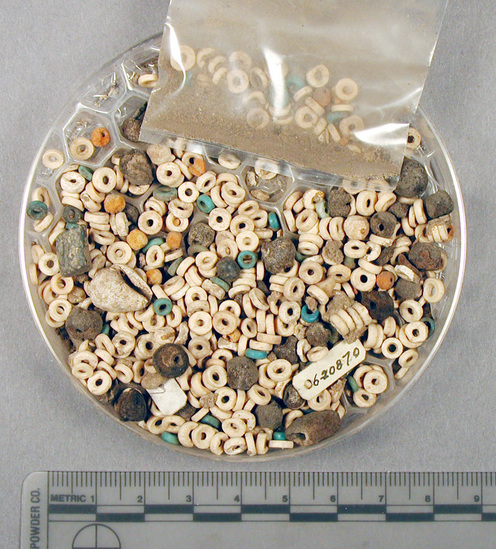 Hearst Museum object titled Beads, accession number 6-20870, described as black, white, blue beads, one shell. Late Middle Empire