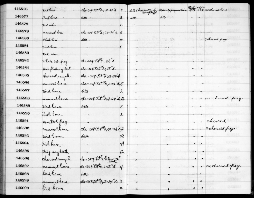 Documentation associated with Hearst Museum object titled Bird bone, accession number 1-146593, described as bird bone