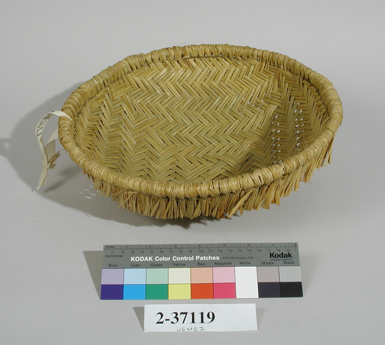 Hearst Museum object titled Basket, accession number 2-37119, described as Bowl shaped basket. Made of twill-plaited yucca leaves-