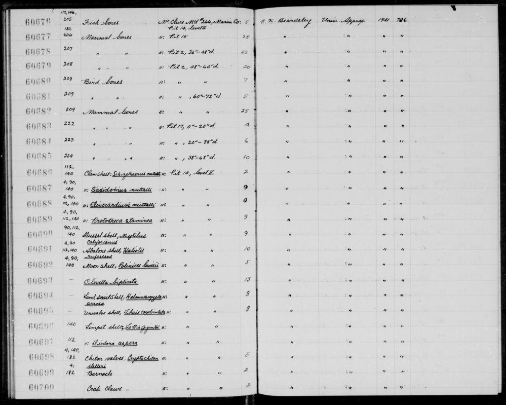 Documentation associated with Hearst Museum object titled Faunal remains, accession number 1-60677.4, described as 32 bone frags. + tooth