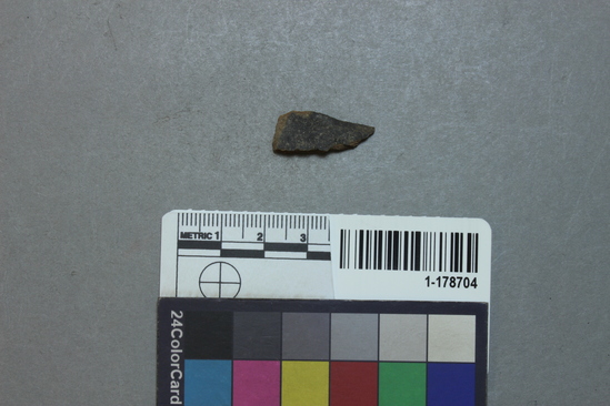 Hearst Museum object titled Potsherd, accession number 1-178704, described as Rim.