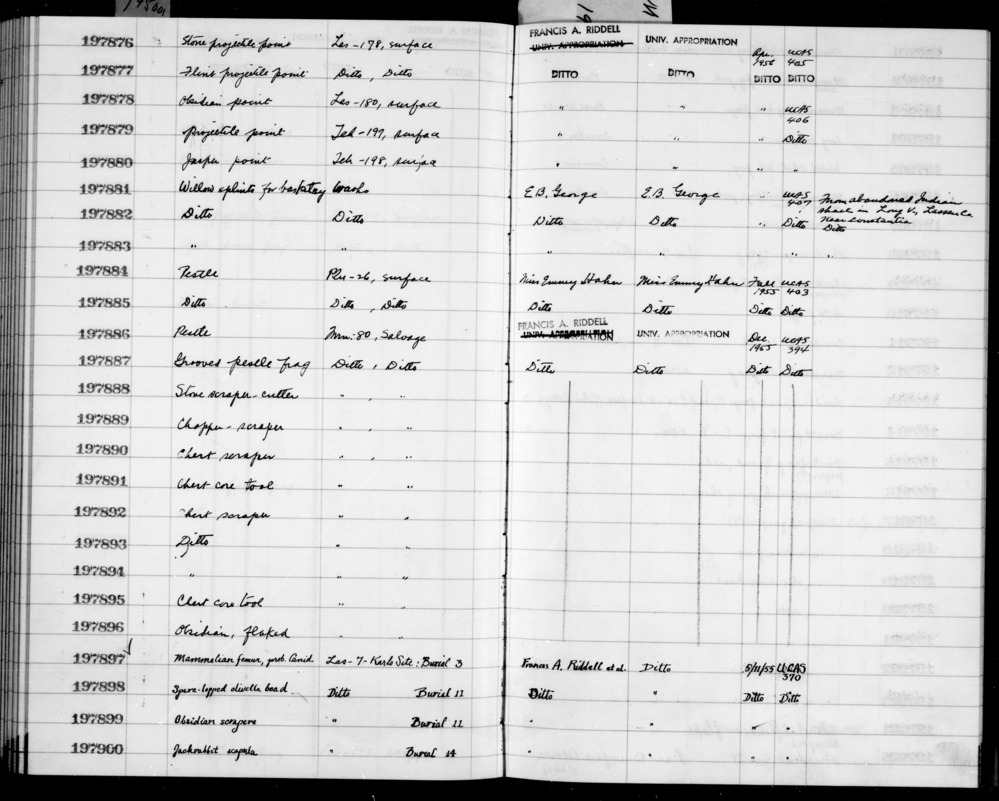 Documentation associated with Hearst Museum object titled Scrapers, accession number 1-197899, described as Obsidian. Notice: Image restricted due to its potentially sensitive nature. Contact Museum to request access.