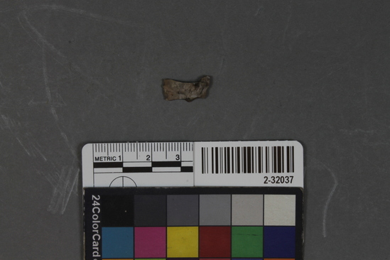 Hearst Museum object titled Point fragment, accession number 2-32037, described as Chert.