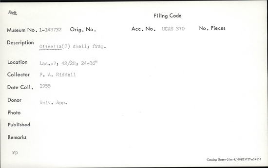 Documentation associated with Hearst Museum object titled Shell, accession number 1-148732, described as Olivella (?).