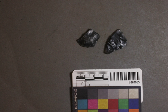 Hearst Museum object titled Projectile point fragments, accession number 1-164955, described as Obsidian midsections.