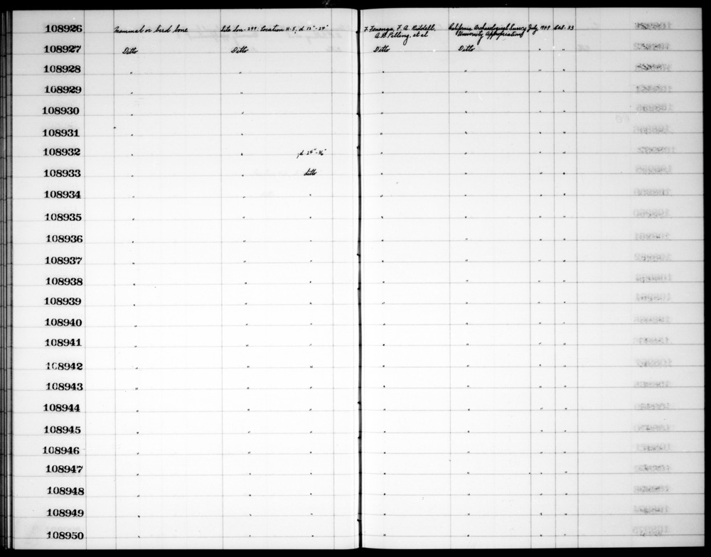 Documentation associated with Hearst Museum object titled Faunal remains, accession number 1-108944, described as Mammal or bird.