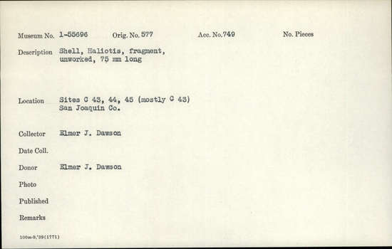 Documentation associated with Hearst Museum object titled Shell fragment, accession number 1-55696, described as Shell, Haliotis, fragment, unworked; 75 mm long