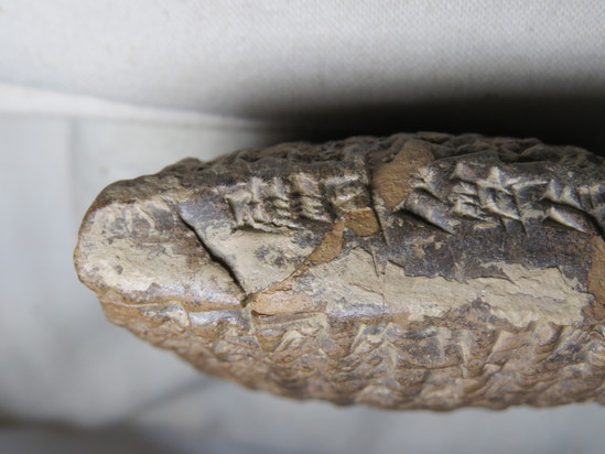 Hearst Museum object 133 of 187 titled Cuneiform tablet, accession number 9-2919, described as Mesopotamian cuneiform tablet