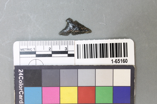 Hearst Museum object titled Point, accession number 1-65160, described as Obsidian. Type NBa-2.