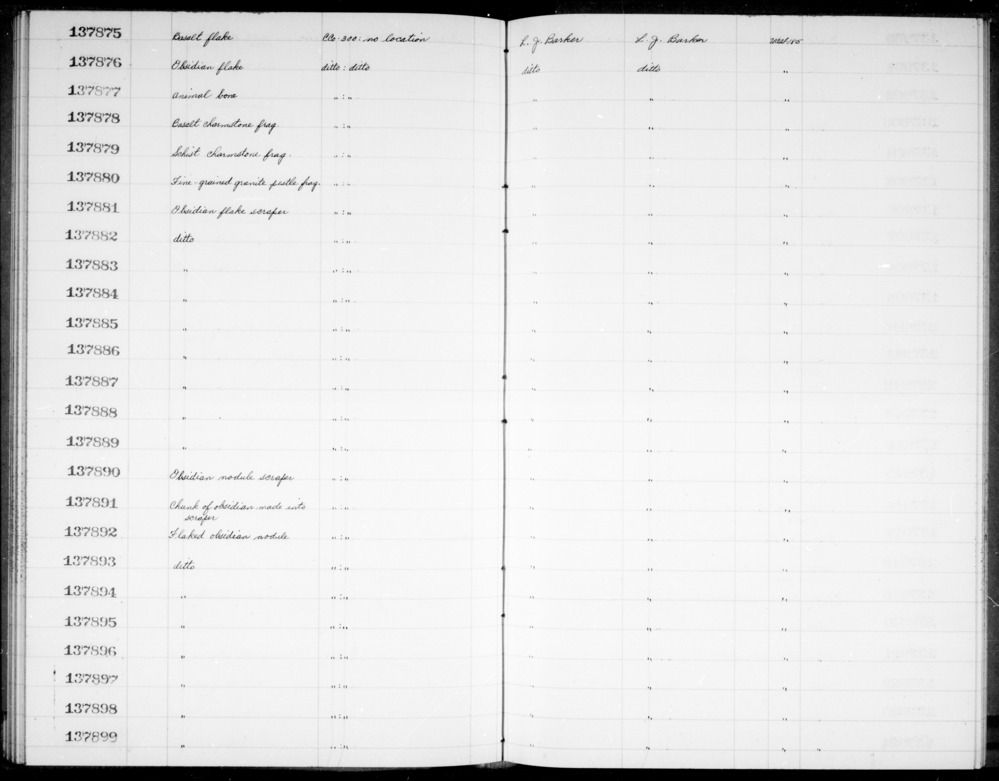 Documentation associated with Hearst Museum object titled Flake, accession number 1-137876, described as Obsidian.