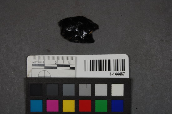 Hearst Museum object titled Point fragment, accession number 1-144467, described as Concave base.