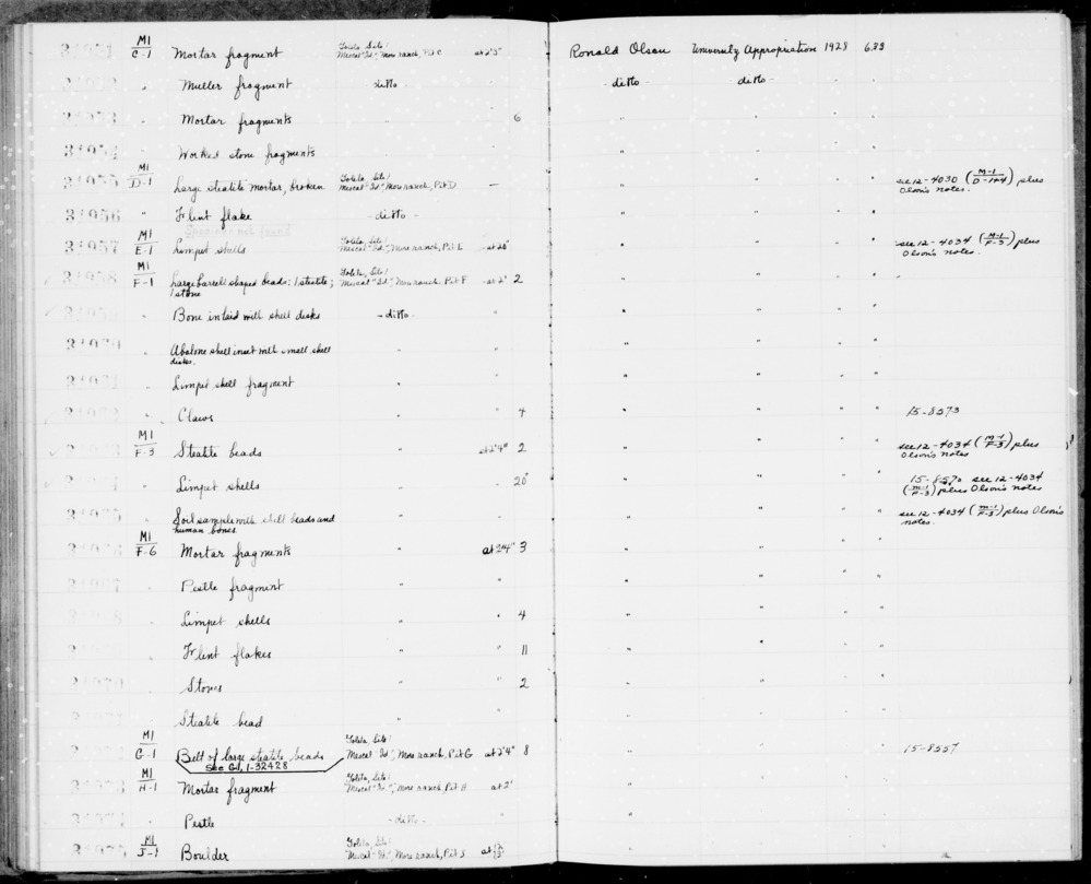 Documentation associated with Hearst Museum object titled Shell fragment, accession number 1-31961, described as Limpet shell.