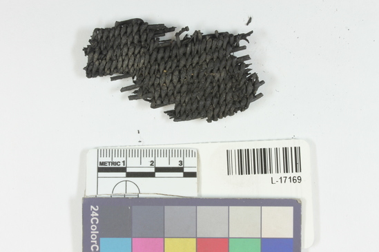 Hearst Museum object 14 of 16 titled Beaded basketry fragment, accession number L-17169, described as charred basketry in Riker mount.