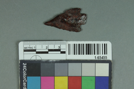 Hearst Museum object titled Point, accession number 1-65455, described as Type SBb: chert