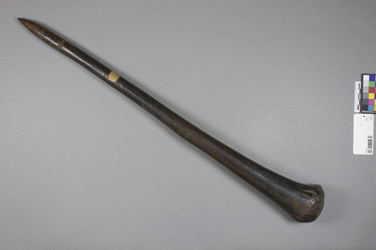 Hearst Museum object titled Club, accession number 11-739, described as Wooden club