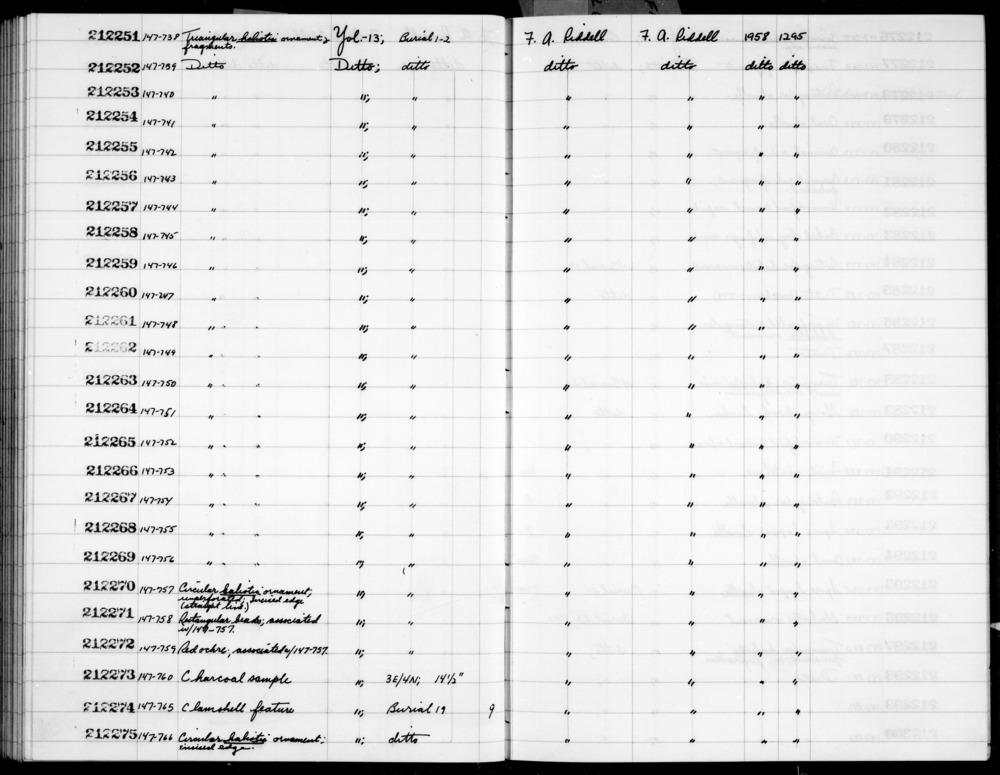 Documentation associated with Hearst Museum object titled Shell fragment, accession number 1-212263, described as Triangular haliotis.