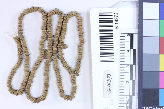 Hearst Museum object 8 of 8 titled Beads, accession number 6-14373, described as String shell disc beads: length 40 cm.