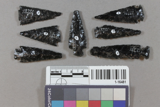 Hearst Museum object 3 of 4 titled Projectile points, accession number 1-16481, described as straight-edged obsidian arrowpoints