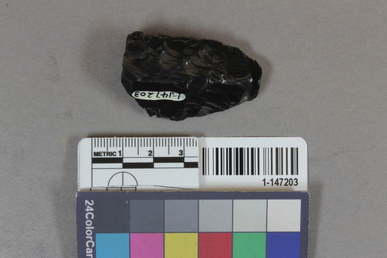 Hearst Museum object titled Blade fragment, accession number 1-147203, described as obsidian blade tip