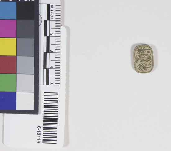 Hearst Museum object titled Scarab with inscription, accession number 6-19116, described as Scarab with inscription