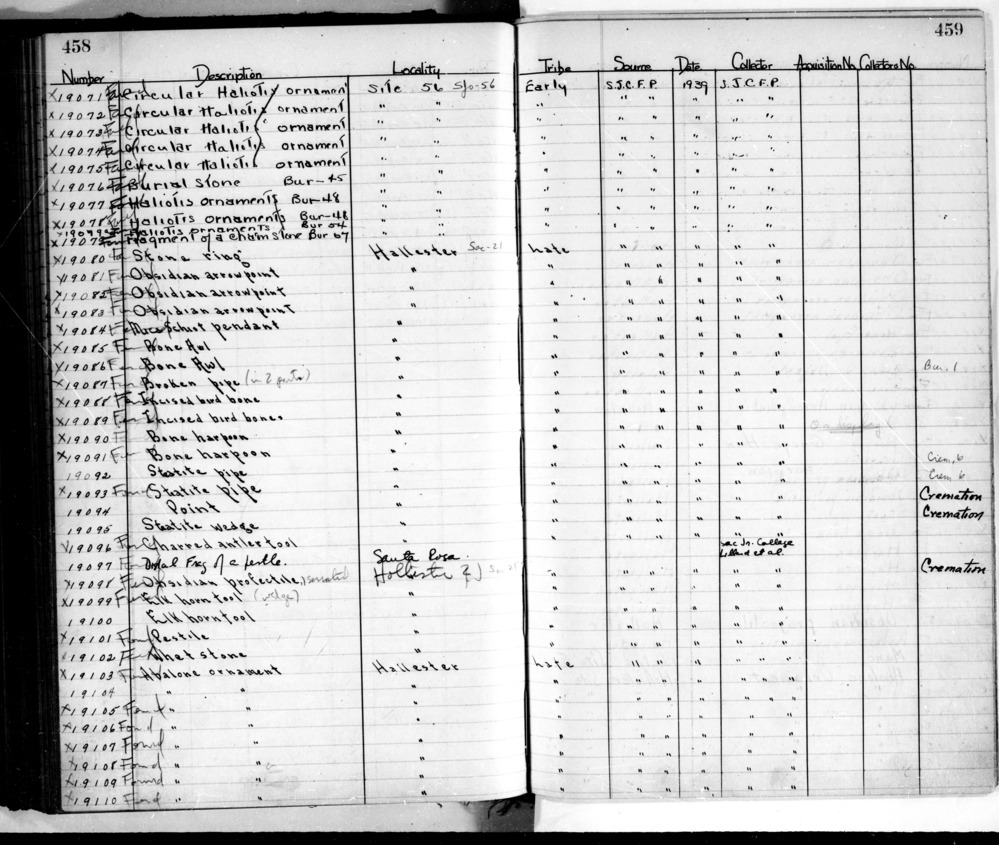 Documentation associated with Hearst Museum object titled Tube, accession number L-19088, described as Incised bird bone