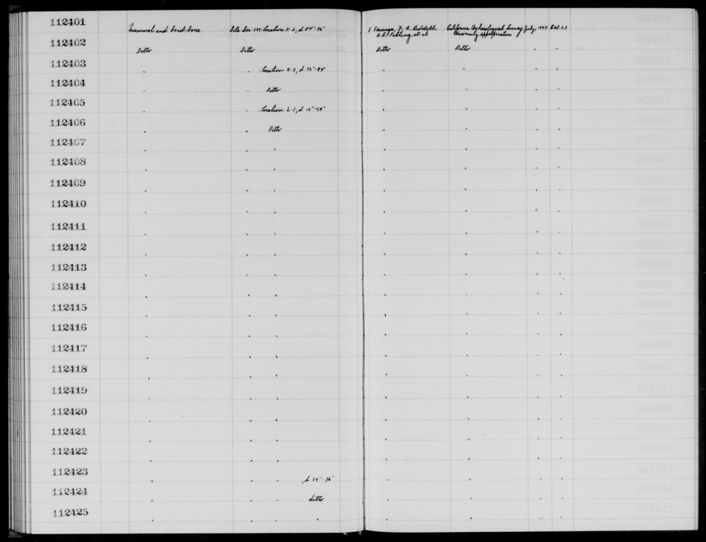 Documentation associated with Hearst Museum object titled Faunal remains, accession number 1-112401, described as Mammal and bird.