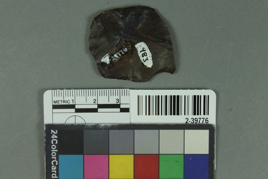 Hearst Museum object titled Blade fragment, accession number 2-39776, described as Chert blade fragment