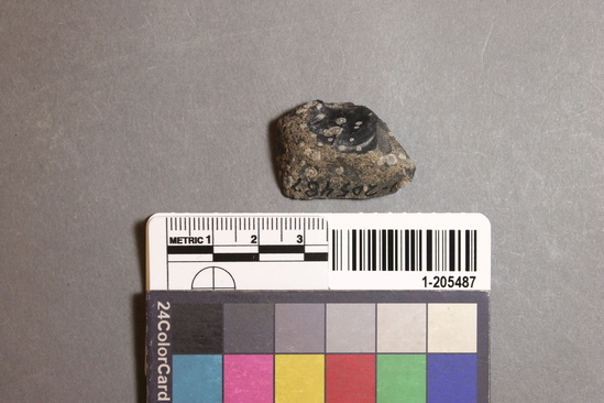 Hearst Museum object titled Flake, accession number 1-205487, described as Chert