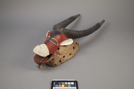 Hearst Museum object 4 of 4 titled Mask, accession number 5-3317, described as Carved wooden mask. Antelope head with long horns. Painted red, white and black. L = 28.25”.