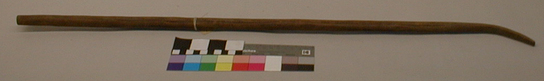 Hearst Museum object titled Shinny stick, accession number 1-11761, described as Shinny stick.