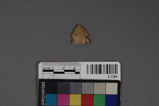 Hearst Museum object titled Projectile point, accession number 2-7384, described as Arrow point.