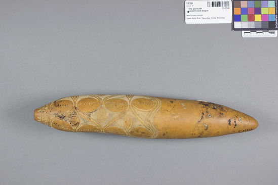 Hearst Museum object titled Lime gourd, accession number 11-37539, described as lime bottle, carved gourd; incised design complete, but not yet filled with black pigment in excised areas; contains lime, used as stimulant