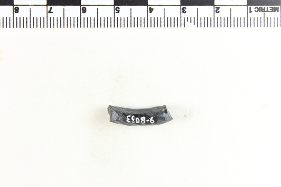 Hearst Museum object 4 of 6 titled Bracelet fragment, accession number 9-8033, described as Glass bracelet frag.; opaque black, twisted curved rod; 19 x 5 mm.