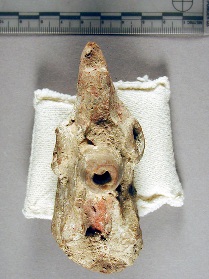 Hearst Museum object titled Cock's head figurine, accession number 6-20342, described as Pottery cock’s head. Roman town.