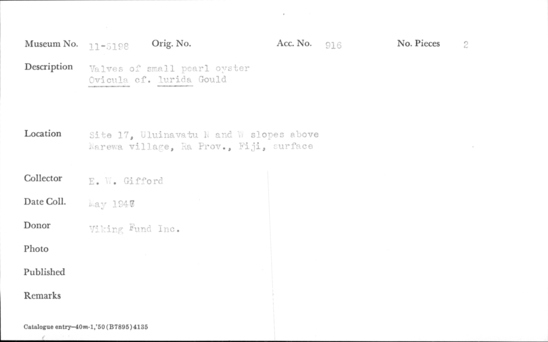 Documentation associated with Hearst Museum object titled Shell: bivalve, accession number 11-5198, described as Valves of small pearl oyster. Ovicula cf. lurida Gould