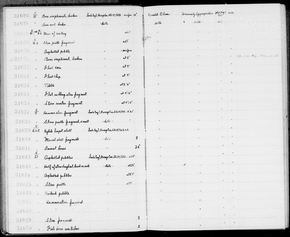 Documentation associated with Hearst Museum object titled Awl, accession number 1-31027, described as Made of bone; broken.