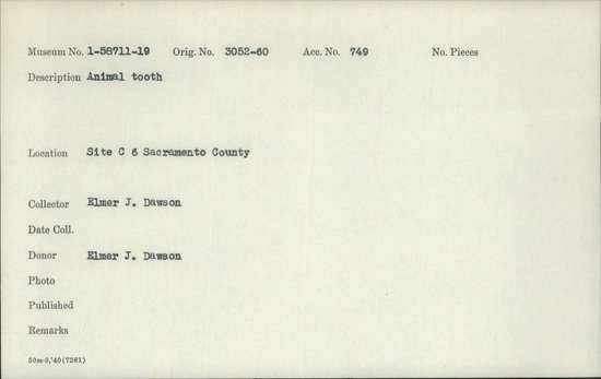 Documentation associated with Hearst Museum object titled Tooth, accession number 1-58711, described as Animal