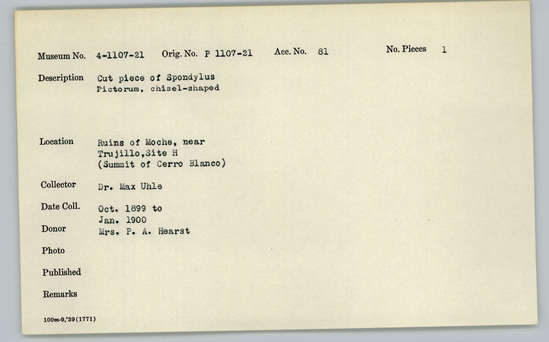 Documentation associated with Hearst Museum object titled Worked shell, accession number 4-1113, described as Cut piece of Spondylus pictorum, chisel-shaped.