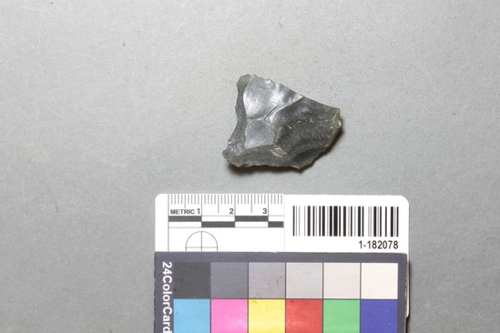 Hearst Museum object titled Knife, accession number 1-182078, described as Or scraper. Stone.