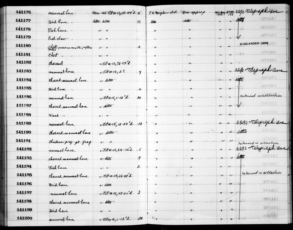 Documentation associated with Hearst Museum object titled Wood, accession number 1-141188, described as wood.