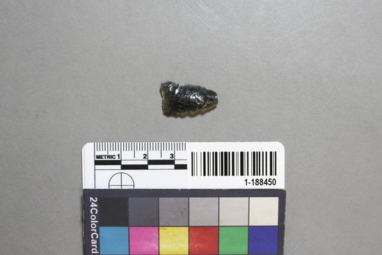 Hearst Museum object titled Point, accession number 1-188450, described as Projectile point fragment, obsidian.