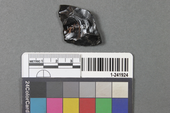 Hearst Museum object titled Blade fragment, accession number 1-241924, described as Obsidian.