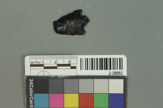 Hearst Museum object titled Projectile point fragment, accession number 2-39992, described as Obsidian corner-notched projectile point fragment