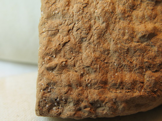 Hearst Museum object 89 of 132 titled Cuneiform tablet, accession number 9-2586, described as Neo-Babylonian Document from Erech