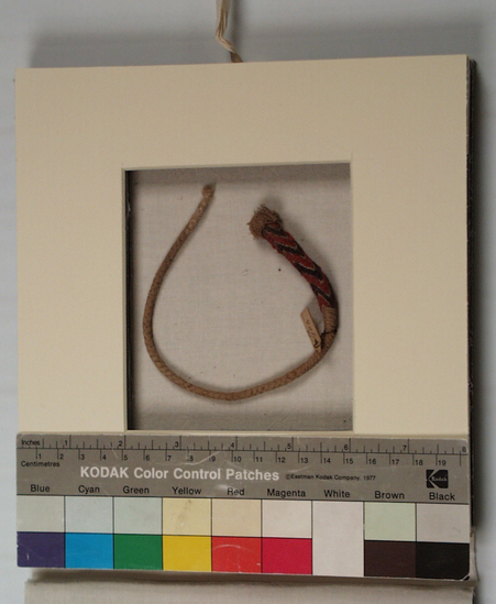 Hearst Museum object 1 of 4 titled White braided cord, accession number 16-903, described as White braided cord, one end ornamented with blue and red