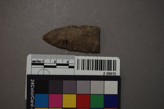 Hearst Museum object titled Projectile point fragment, accession number 2-39915, described as Chalcedony projectile point tip