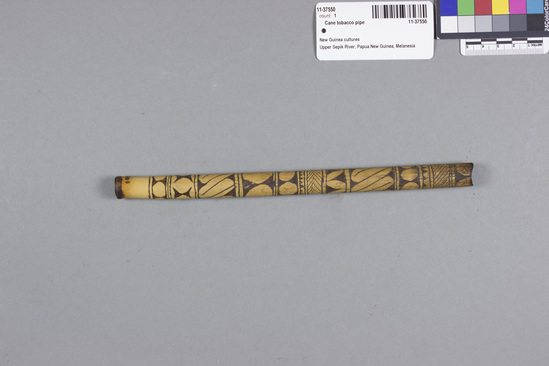 Hearst Museum object 1 of 2 titled Cane tobacco pipe, accession number 11-37550, described as Tobacco pipe, cane, with incised designs filled with black pigment, 22.8 cm long. Used for smoking.