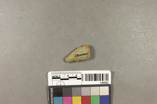 Hearst Museum object titled Projectile point fragment, accession number 1-60052, described as Arrowpoint fragment