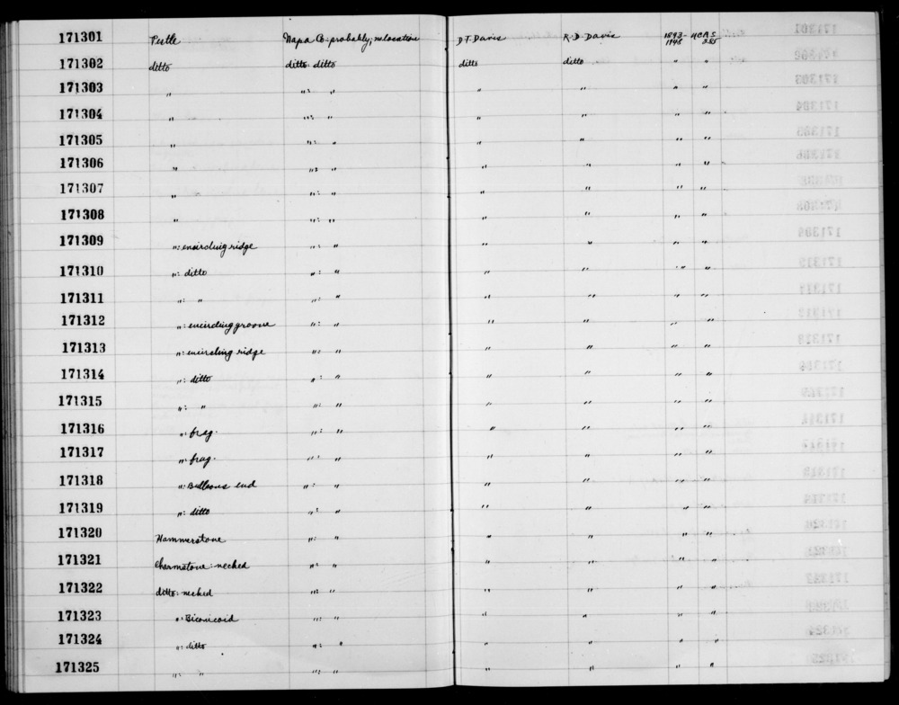 Documentation associated with Hearst Museum object titled Charmstone, accession number 1-171325, described as charmstone, biconicoid